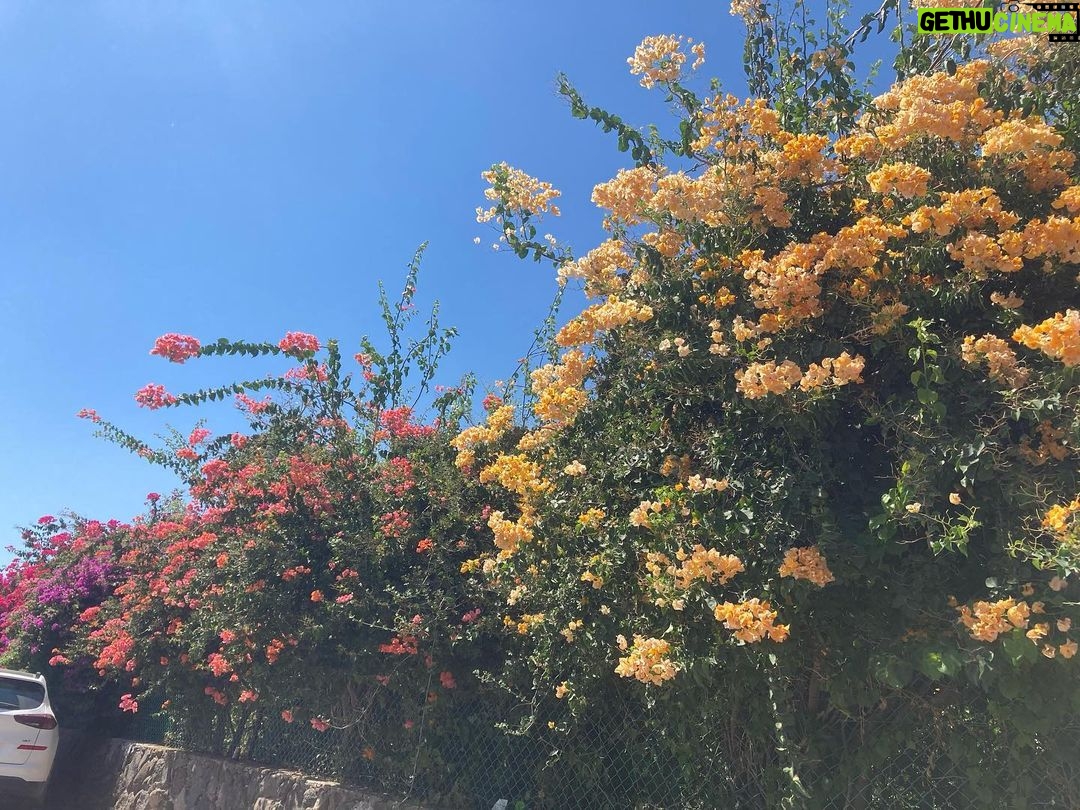 Sarah Catherine Hook Instagram - Sea of Galilee