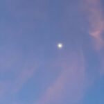 Sarah Catherine Hook Instagram - going through a moon phase 🙃 The Moon