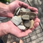 Sarah Catherine Hook Instagram - Fun fact: I used to have a sick rock collection. Hampton brought home these beauts from Lake Michigan (don’t worry they have been disinfected - including my father) and I’m thinking of picking back up that old hobby 🤓