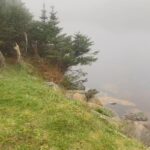 Sarah Ourahmoune Instagram - 🧐 Savez-vous où se trouve Saint-pierre et miquelon ? 🌊🥊✈️ in my phone 📲 De retour d'une expérience inoubliable à Saint Pierre et Miquelon ! J'ai eu l'opportunité d'animer une conférence et des sessions de boxe tout public dans ce magnifique archipel français. 🇫🇷 C’est Roger et sa fille Andrea, dirigeants du club de boxe local, qui se sont démenés pour me faire venir sur cette petite île et m’accueillir dans des conditions extra aux @lesterrassesspm ❤️ 🎯L'objectif était clair : partager et inspirer. Saint Pierre et Miquelon, bien que faisant partie de la France, est un archipel un peu oublié. Mais cette petite perle de l'Atlantique regorge de potentiel. Les habitants de l'archipel aspirent à développer leur économie grâce au tourisme et à repopuler l'île. Cependant, ils font face à des défis sociaux majeurs. L'accès difficile et l'isolement géographique rendent l'échange de biens et de personnes compliqué. De plus, la réduction des droits de pêche, une industrie clé de la région, a un impact significatif sur les moyens de subsistance locaux. La difficulté à recruter de nouveaux talents et la fuite des jeunes sont des enjeux critiques. Les jeunes talentueux quittent souvent l'archipel après le bac à la recherche d'opportunités ailleurs, laissant derrière eux une communauté vieillissante. Cela met en danger la transmission des traditions culturelles uniques de Saint Pierre et Miquelon. 🙌🏼J'ai été profondément inspirée par la détermination et la passion des habitants pour préserver leur culture et leur patrimoine tout en cherchant des solutions innovantes pour l'avenir. #SaintPierreetMiquelon #Développement #Tourisme #EnjeuxSociaux @tourismespm Saint Pierre and Miquelon