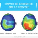 Sarah Ourahmoune Instagram - Comment le sport stimule la mémoire ? C’est fou l’impact du sport ! Plusieurs études montrent combien le sport est bénéfique pour notre santé physique et mentale. Vous saviez que le sport améliore la mémoire ? #impactsport #neuroscience #cerveau Boxer Inside Club