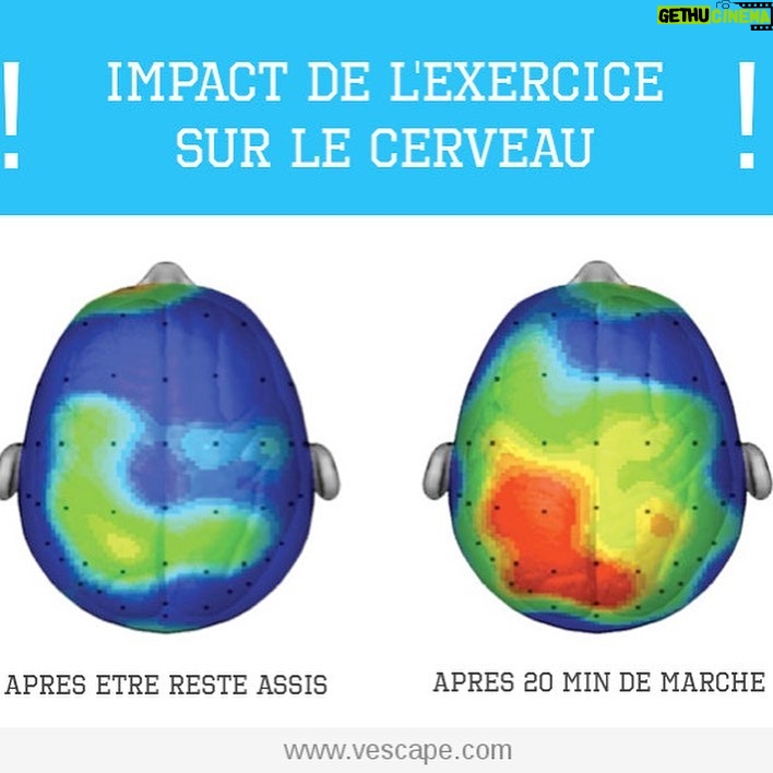 Sarah Ourahmoune Instagram - Comment le sport stimule la mémoire ? C’est fou l’impact du sport ! Plusieurs études montrent combien le sport est bénéfique pour notre santé physique et mentale. Vous saviez que le sport améliore la mémoire ? #impactsport #neuroscience #cerveau Boxer Inside Club