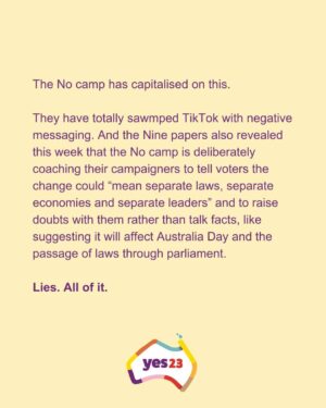 Sarah Wilson Instagram - I’ve written a rant: DON’T JUST VOTE YES, Voice up! The full thing is in bio and stories. 
We need to take down Dutton et al's misinformation campaign. We can’t be a nation that wakes up on Oct 15 to the news that we were duped by lies! 

Link to the full @substackinc  post in stories and bio.
#yes23 @yes23au @f_yes23 #voteyes #yes23