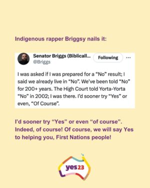 Sarah Wilson Instagram - I’ve written a rant: DON’T JUST VOTE YES, Voice up! The full thing is in bio and stories. 
We need to take down Dutton et al's misinformation campaign. We can’t be a nation that wakes up on Oct 15 to the news that we were duped by lies! 

Link to the full @substackinc  post in stories and bio.
#yes23 @yes23au @f_yes23 #voteyes #yes23