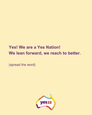 Sarah Wilson Instagram - I’ve written a rant: DON’T JUST VOTE YES, Voice up! The full thing is in bio and stories. 
We need to take down Dutton et al's misinformation campaign. We can’t be a nation that wakes up on Oct 15 to the news that we were duped by lies! 

Link to the full @substackinc  post in stories and bio.
#yes23 @yes23au @f_yes23 #voteyes #yes23