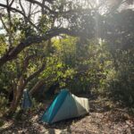 Sarah Wilson Instagram - Delayed Christmas camping in WA with brothers, sis n laws n kids dump. Greeted with a (rolling) birthday hamper of my favourite foods from @benjamony … lots of dirt and wildlife and SUP and rock hopping and dolphin spotting and yabbies. Plus a birthday hike. ✌️🇦🇺❤️ Western Australia