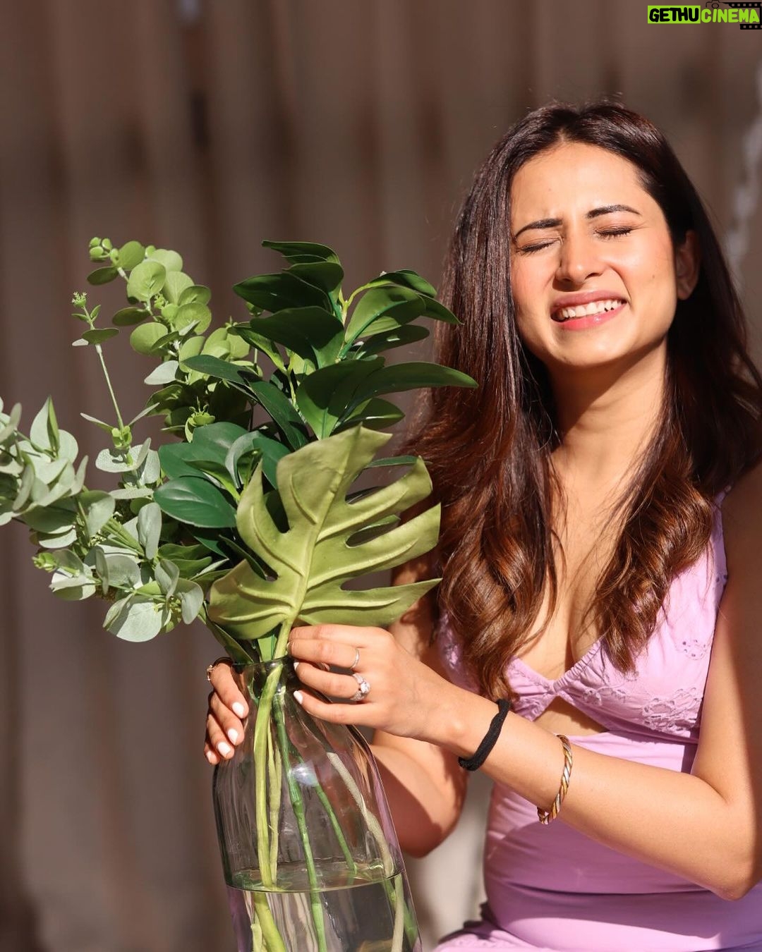 Sargun Mehta Instagram - Happy warm new year ❤️❤️💕
