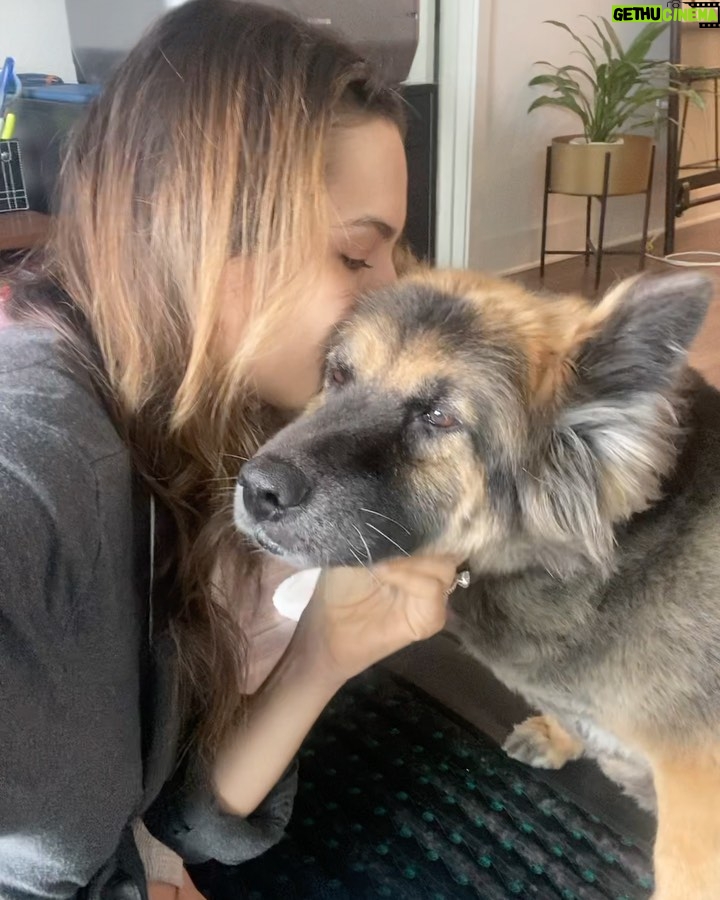 Sasha Clements Instagram - Gratitude post✨Sometimes it really is 2 steps forward 10 steps back. March was that month for me. I was doing so much better but last month I relapsed. My body rapidly flared up with inflammation the same way it did 2 years ago. I’m not going to say there weren’t (daily) tears but I will say that I am grateful for this flare up. Without it, I wouldn’t be able to see how far I’ve come mentally and spiritually✨ I had tools and a map to follow and was able to lean on my practices. And of course, as the universe would have it, I booked an action packed role right in the middle of it all to remind me that I can overcome anything👊🏼With major rest, a change in treatment, visualization, and daily gentle movement, I’ve gotten it under control again🙏🏼 I need to express my boundless gratitude to my loved ones and husband. Our spouses often become our caregivers and don’t get the credit they deserve. Corbin did not let me lift a finger. On top of working insanely long days, he did everything for me. From meal prepping, cooking, cleaning, bills, taking care of the dog, helping me get dressed and even washing my hair. It’s hard not to feel like the world’s biggest burden but I know holding on to that feeling only slows down the healing. My mother in law, sisters, friends and health coaches all gave up their time to come over and help with laundry or cooking. Chronic illness is not fun but it’s also been the greatest gift of soul training. And an important reminder that your achievements, no matter how “small” should be celebrated. 🙏🏼💛