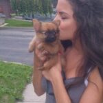 Sasha Clements Instagram - Yesterday I said goodbye to my little guy. The reason I fell in love with Poms. He was so funny and loyal. My heart is hurting but I’ll carry the love we shared forever. Till we meet again on rainbow bridge 🌈