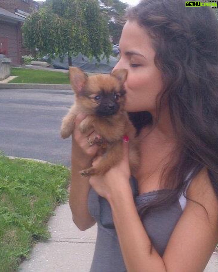 Sasha Clements Instagram - Yesterday I said goodbye to my little guy. The reason I fell in love with Poms. He was so funny and loyal. My heart is hurting but I’ll carry the love we shared forever. Till we meet again on rainbow bridge 🌈