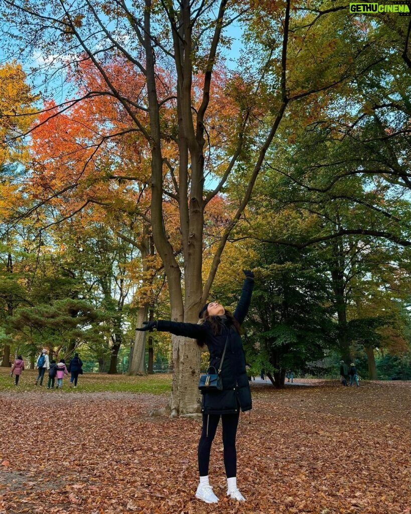 Sasha Clements Instagram - The season of wandering, gratitude, and letting go 🍂 New York is the best this time of year