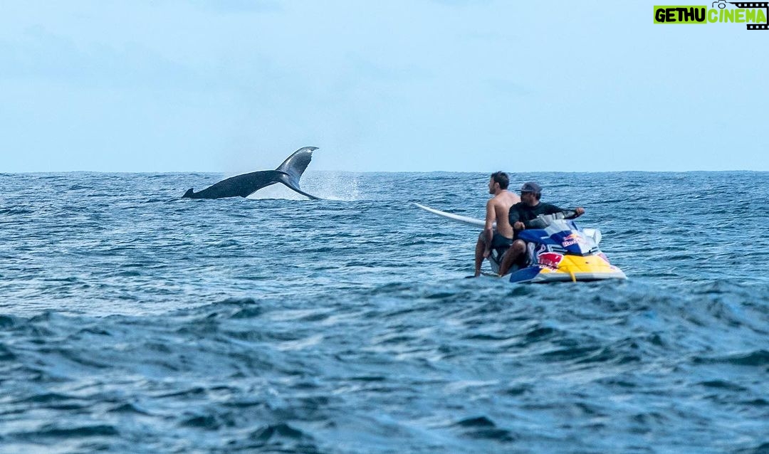 Scott Eastwood Instagram - Take me back here…… @raimanaworld