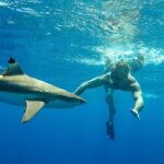 Scott Eastwood Instagram - Sharks are amazing!!! And they can kill you…. Kinda like cars.