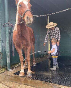 Scott Eastwood Instagram - rollin', rollin', rollin'

Keep them dogies rollin', rawhide
