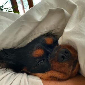 Scott Eastwood Instagram - Good morning