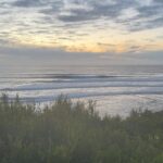 Scott Eastwood Instagram - What an incredible way to close out 2023 with a run of great waves 🌊…. ✌️