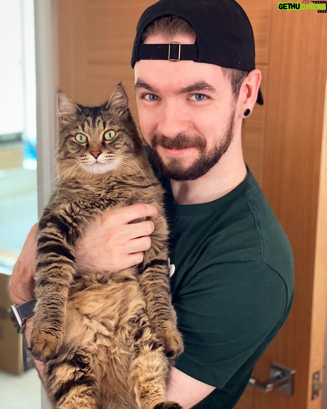 Seán McLoughlin - 432.7K Likes - 🦁☺️
