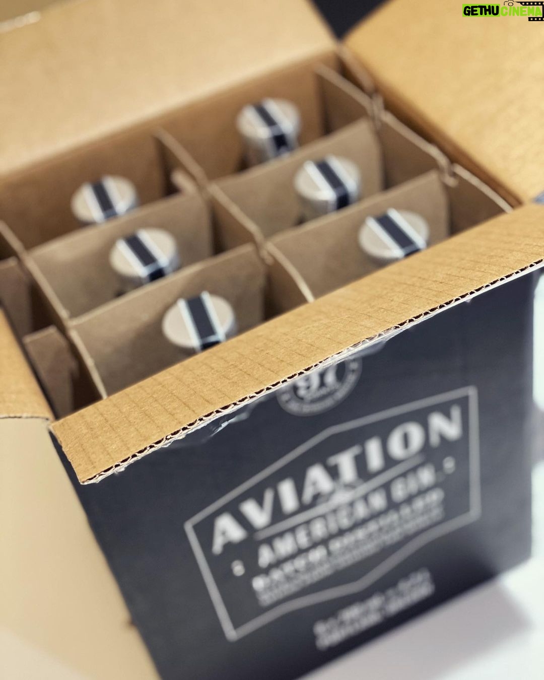 Seán McLoughlin Instagram - Thank you @vancityreynolds for the incredibly generous Aviation Gin gift. I had to bribe my cat to get to it. Even he knows how good it is!