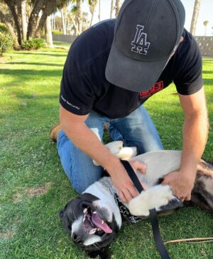 Sean Carrigan Instagram - My boy, “Jack”. #KingJackPoppa