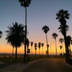 Sean Carrigan Instagram –  Los Angeles, California