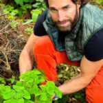 Sebastián Rulli Instagram - Septiembre nos invita a conectarnos con la naturaleza, a disfrutar de su belleza y agradecer por todo lo que nos brinda. Es un momento perfecto para dedicarnos tiempo a nosotros mismos, a nuestra salud y bienestar En este mes, los árboles se preparan para vestirse de colores otoñales, dejando atrás el verde intenso del verano. Los paisajes se llenan de tonalidades cálidas y nostálgicas, creando una atmósfera única y especial. Este es un nuevo comienzo, lleno de oportunidades y posibilidades. Así que recibe con amor este mes, abre tu corazón a todas las maravillas que la naturaleza tiene para ofrecerte y disfruta de cada momento en armonía con el entorno. Bienvenido septiembre al natural! Que nos inspire a cuidar, disfrutar y respetar nuestro hermoso planeta. #treboldecuatrohojas #goodluck🍀 #nature #goodvibes 📸 @angeliqueboyer ❤️ Avandaro, VDB