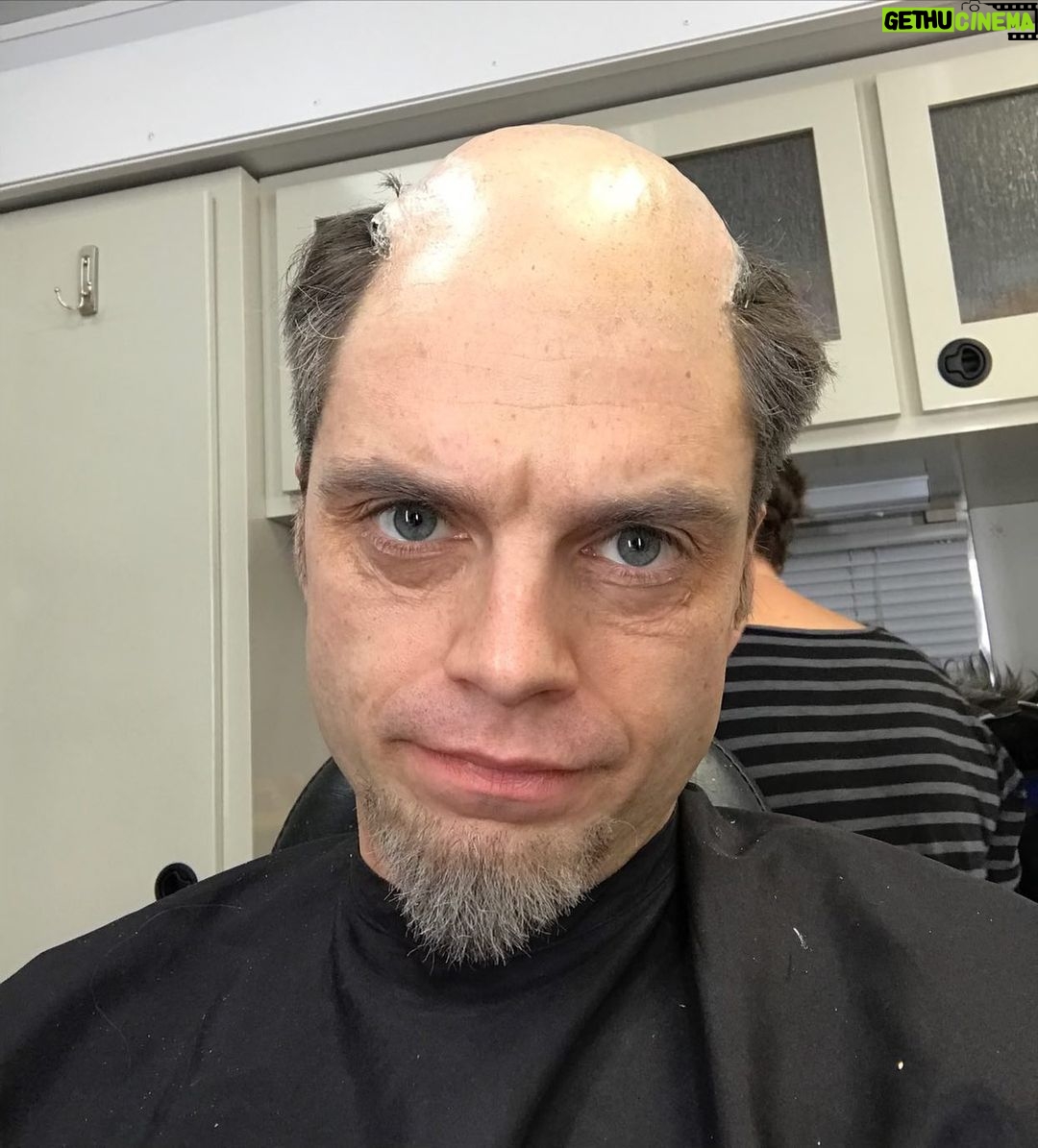 Sebastian Stan Instagram - Happy Monday #AYearInReview