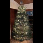 Sebastian Stan Instagram - First 🎄 in 20 years...