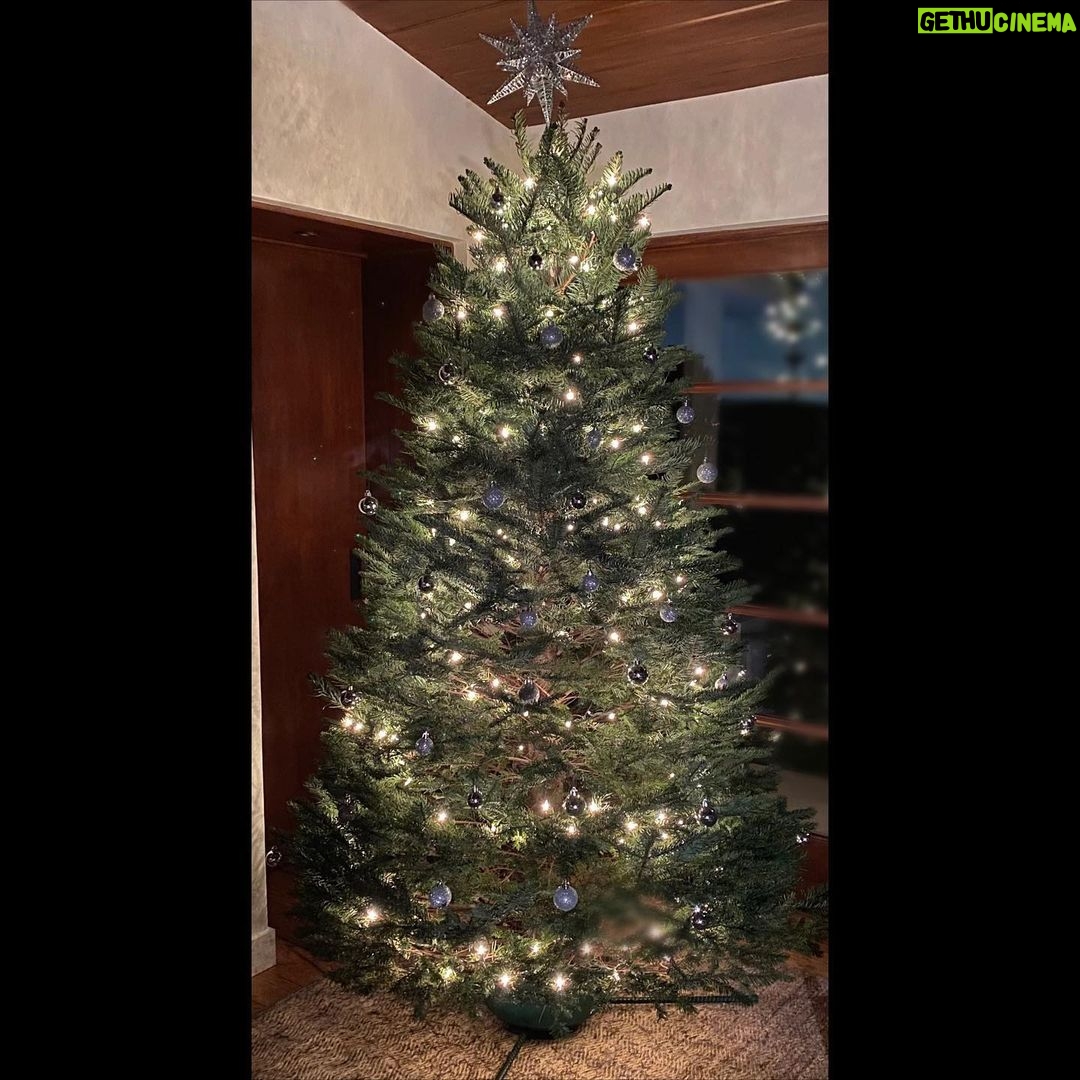 Sebastian Stan Instagram - First 🎄 in 20 years...