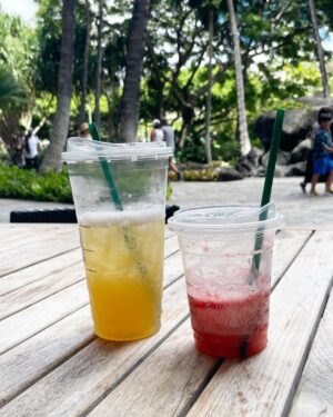 Seika Furuhata Instagram - ⠀
#hawaii 

湿気もなくて日本より涼しい🌺

パワーチャージ☺️✨

#waikiki#ootd#travel#日常