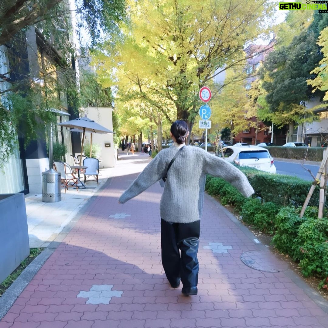 Seika Furuhata Instagram - ⠀ 休日のお出かけ~♪ この日はうちらが大好きな鰻を食べに行ったら 紅葉が綺麗でなんかめっちゃ得した気分☺️🍁 安定に鰻はテカテカで綺麗だし 美味しすぎた🥺🙏 ご飯食べる前は血糖値をがん!ってあげたくないから必ず酵素を摂取する用にしてる🙆♀️✨ 粉末タイプだからお水ですぐ溶けるし持ち運びにもぴったり👌 年末は忘年会とか爆食が続くと思うのでちょっとしたお守り代わりにオススメ🙌 真っ黒だから味は??って思うかもだけど、、、笑 これがフルーティーで美味しいの🤣❤️ 置き換えにもいいかも♪ #PR#サポート酵素ドリンク#炭酵素#ドクターズナチュラルレシピ