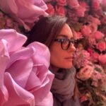 Sema Şimşek Instagram - Fazla pembe🤭 ve pembe çocukken de en sevdiğim renk değildi.. #pembe #londra #semasimsek #nofilter #tozpembe