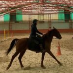 Sema Şimşek Instagram - Öğrenmenin yaşı yok 😉 Mümkün olduğunca hayatımda olmanı diliyorum… çok güzel çook! #minik 🐎✨