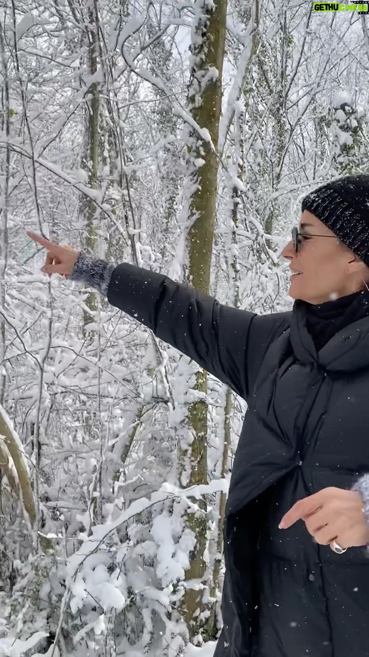 Sema Şimşek Instagram - Pazar güzelliği ve huzuru….❄️☃️🤍 #semasimsek #kar #kış