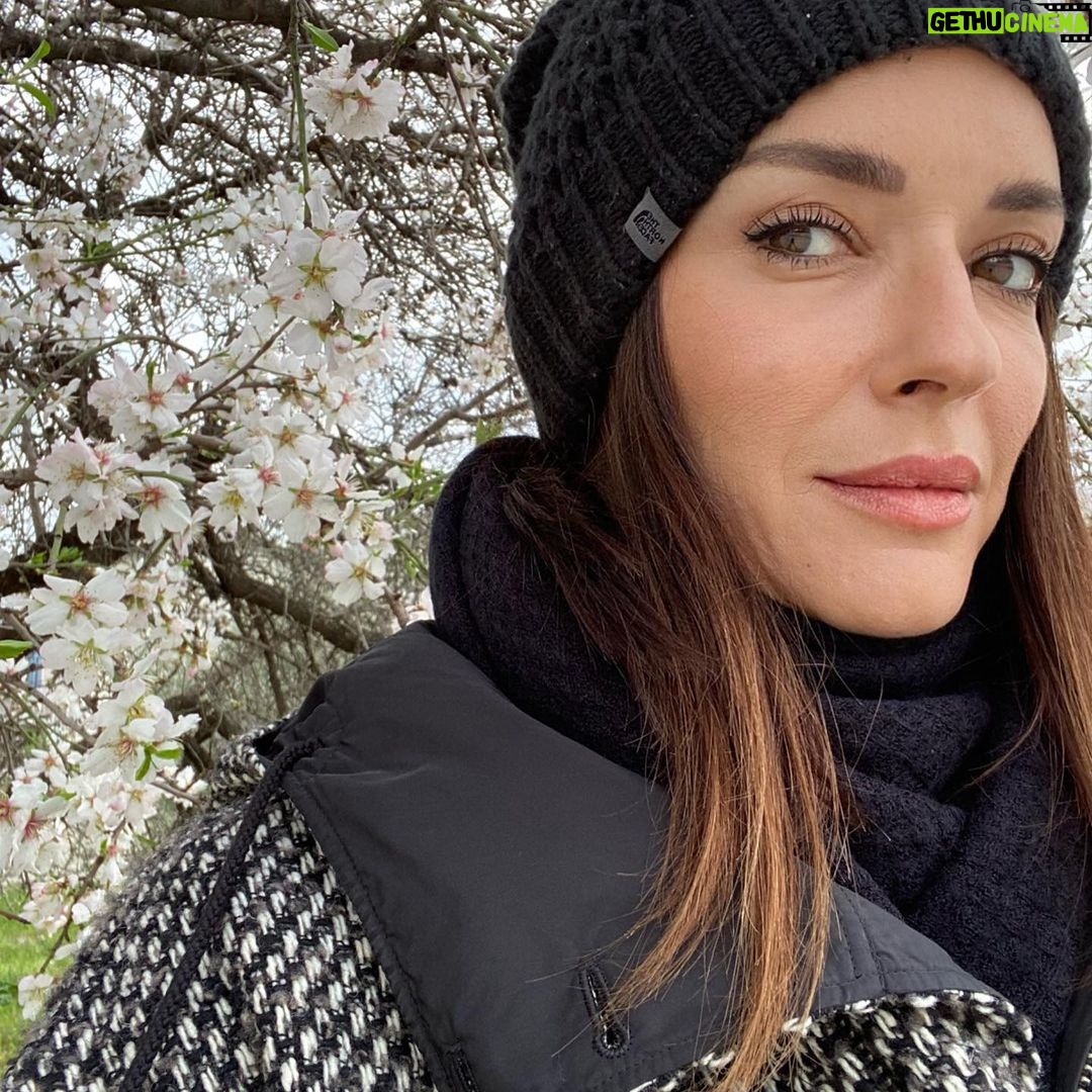 Sema Şimşek - 1.5K Likes - Oysa tüm dünya BAHAR olabilirdi…#bahar #barış #dünyayasığamadık #ukraine