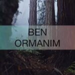 Sema Şimşek Instagram - 🌲🌳🌴