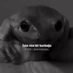 Sema Şimşek Instagram - Tamamını izlemeye üşenenler için! Buyrun…