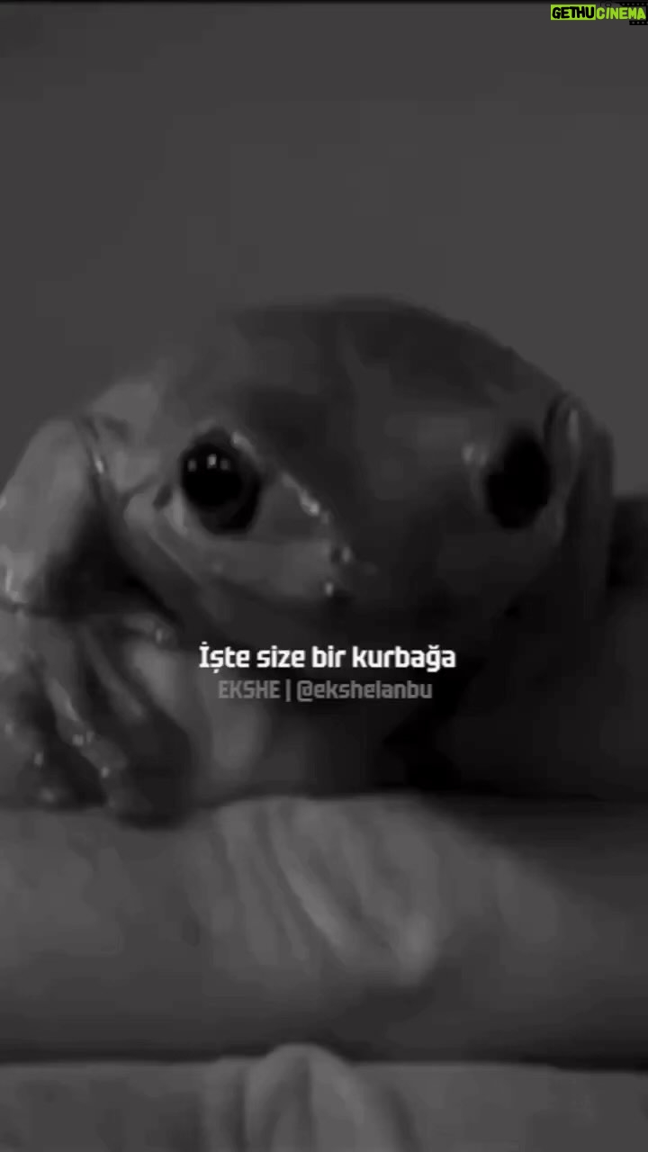 Sema Şimşek Instagram - Tamamını izlemeye üşenenler için! Buyrun…