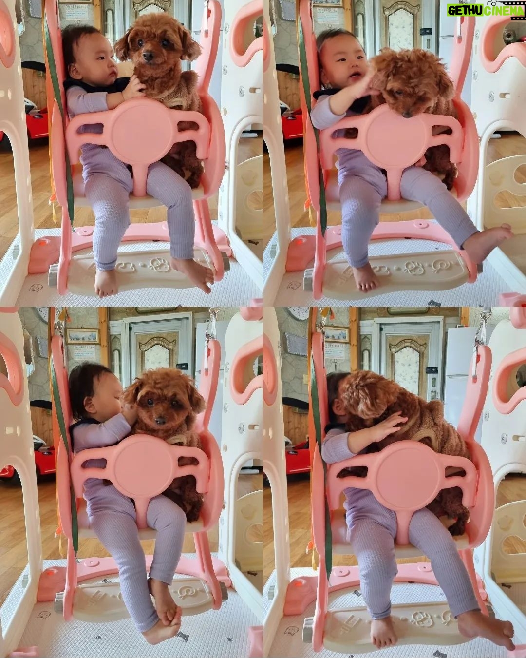 Seo Yeong Instagram - 1. 나,신소이,김말리의 산장라이프. 2. 엎드려뻗쳐하고 있는 신소이찾기. 3. 고단한 애개육아. 4. 말리가 좋은 소이와 그런 소이가 개부담스러운 김말리. 5. 소보루빵이 되가는 김말리. 6. 지켜보고 있다.(엄마도 화장실 좀 가자🔥) 나도 집있는데... 집에 가서 엽떡먹어야하는데... 피곤한 산장🔥🔥🔥 #여보빨리와 #허리두동강나기직전 #애개육아 #합쳐서15키로 #2023끝자락 #haveaniceweek Jisan Forest Ski Resort, 지산포레스트리조