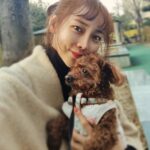 Seo Yeong Instagram - 아주 오랜만에 푹 쉰 주말😍 우리 가족 넷🖤❤️💛🤎 #오늘같은밤이면 #과자먹고싶다 #여보과자많이사와 #goodmoment #goodnight