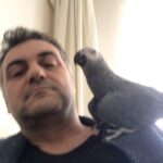 Serdar Çakmak Instagram - Çok özlem içerir 🐦 #yakup @serdarcakmakofficial Türkiye Cumhuriyeti