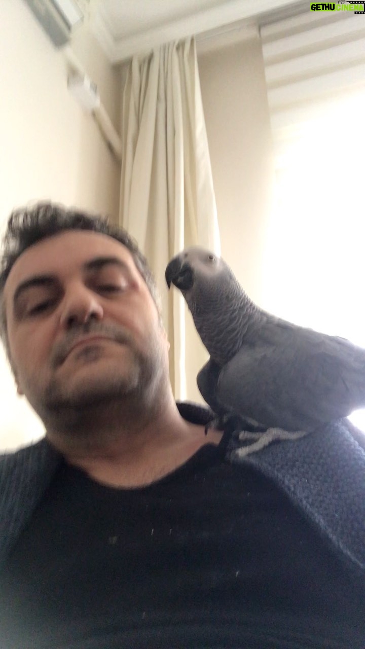 Serdar Çakmak - 279 Likes - Çok özlem içerir 🐦 #yakup @serdarcakmakofficial