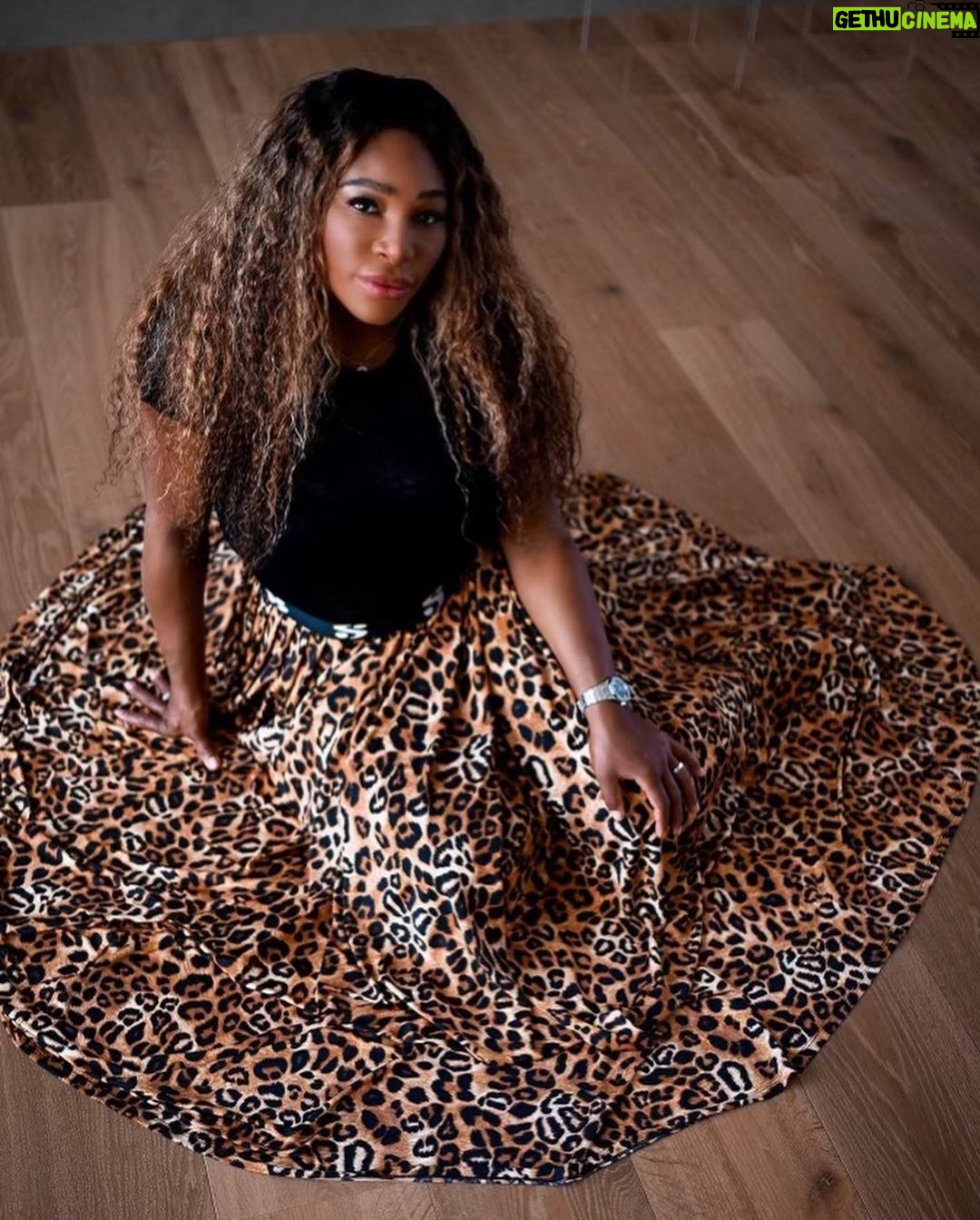Serena Williams Instagram - A lounge day in @serena and the dogs