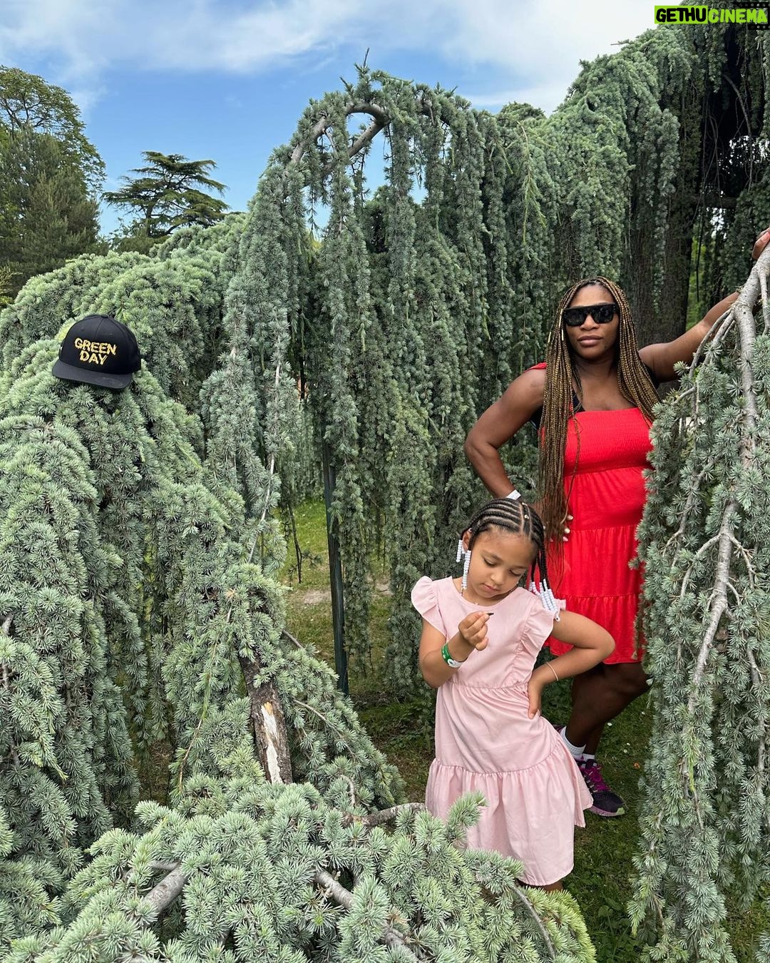 Serena Williams - 227.8K Likes - “So take the photographs and still frames in your mind”