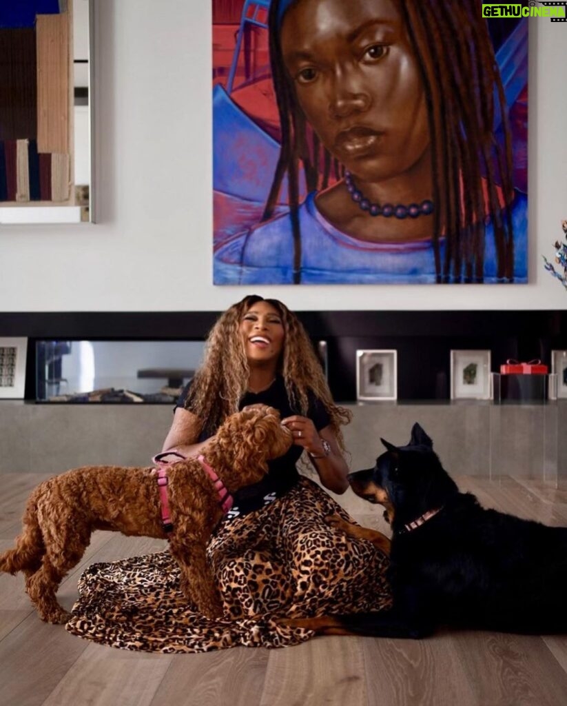 Serena Williams Instagram - A lounge day in @serena and the dogs