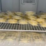 Serena Williams Instagram - On a recent trip to NY I had left over breast milk. After going through a screening I was able to donate it instead of taking the milk home. I know so many amazing women that adopt or are unable to make milk. It felt amazing. BTW Someone out there is getting some super soldier milk. 🤭