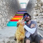 Serhan Süsler Instagram - #çakıl #thedog #thedogist #goldenretriever #thedoglife #ermenekturkuazgölü #igersturkey #igersworldwide #igersistanbul #igerslondon #ig_4every1 #instadogs #instadog #dogsofinstagram #dogstagram #actorslife #actorgang #followgram #anatolia #merdiven #stairwaytoheaven #escalier #quiaimentlechien #doglovers #doglove Ermenek