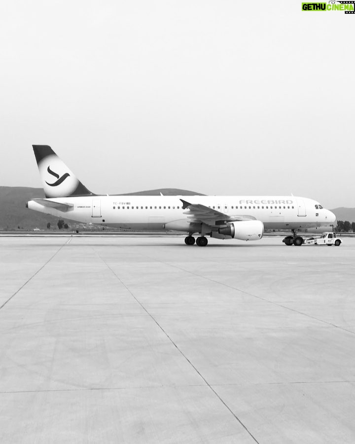 Serhan Süsler Instagram - #free #like #a #bird #blacknwhite_perfection #bodrum #havaalanı #freebird #bnw_captures #goodvibesonly Schiphol Airport, Amsterdam