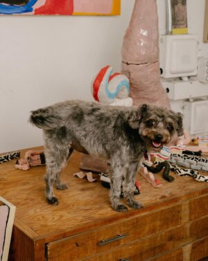 Seth Bogart Instagram - Honored me and my daughter Stix are the July cover stars for @thewildestsite 🐾 shot in my studio by @amyharrity / interview by @nishagopalan