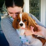 Seth Rogen Instagram - We said goodbye to our perfect girl Zelda on Thursday, May 4th. She was almost 14 years old. She was truly the most special, magical creature. She taught us about love, resilience, strength and kindness. We loved her more than words can describe. Everyone who met her saw what a unique little puppy she was. She’d stare in to your soul with her gigantic buggy eyes. She was so judgmental, that when she loved you, you really knew you earned it, and it made you feel like you had won. She had an incredible life and was lucky to have so many friends and shared her special love with so many people. She was a girl who was so shy no one adopted her as a baby who became a girl who travelled to multiple countries, appeared in three movies, on two magazine covers, and inspired countless works of Zelda-art— including a lighter that is now in the homes of hundreds of people. We have a (long) list of things that were special about her. Here are a few highlights: —Her big eyeballs and her intense eye contact —How it feels when she stretches while I’m holding her in my arms —How she comes inside before she’s done pooing, takes a treat and then runs to the door when she realizes she has to poo more —The sound she made for Zankou chicken. —The way the fur on her legs looks like culottes from the back —Her leave me alone side eye —The way she would sit and wait to be called to walk through the metal detectors at the airport and then she’d run through them and everyone would comment about what a good girl she was —How she always wants to sleep in Seth’s spot —When she would go to the door pretending to have to go out, but just wanted to get us away from our food, although she would never actually go for it —Her big gigantic poops that always surprised people because of her small size —The way she loved sprinting up and down hotel hallways —How she’d ask Seth to take her outside over and over again just for treats —The way she pounced on seaweed and her paws left tracks in the sand. And then she’d “kill it” and ask to take it home. —How incredible it felt to wake up in the morning and see her starring back at me. We belonged to each other and we will miss her forever.