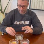 Seth Rogen Instagram - The very nostalgic Roadside Collection from Houseplant.